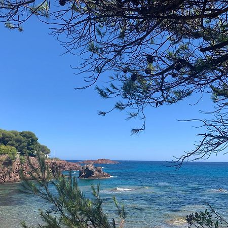 Studio Climatise Avec Piscine Saint-Raphaël Екстериор снимка